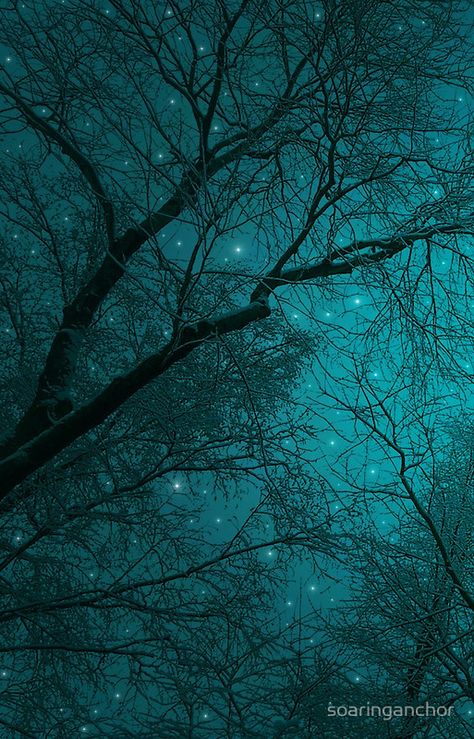 Simply Stare Upward (Dark Winter Sky / Winter Forest) Color Cian, Turquoise Aesthetic, Dark Cyan, Light Blue Aesthetic, Dark Green Aesthetic, Winter Sky, Teal Wallpaper, Dark Turquoise, Bleu Turquoise