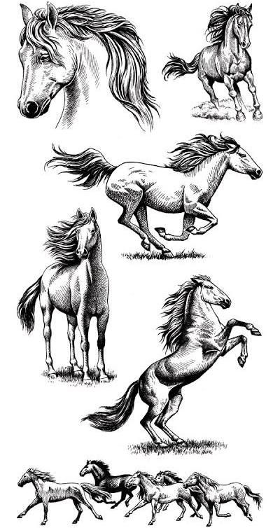 Horse Running Drawing, Running Tattoo, Horse Tattoo Design, Horse Art Drawing, Western Tattoos, Horse Sketch, Horse Illustration, Horse Tattoo, Horse Drawing