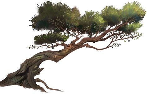 Bonsai Tree Illustration, Concept Art Landscape, Landscape Concept, Bonsai Art, John Singer Sargent, Art Disney, Game Concept Art, Tree Illustration, Art Et Illustration