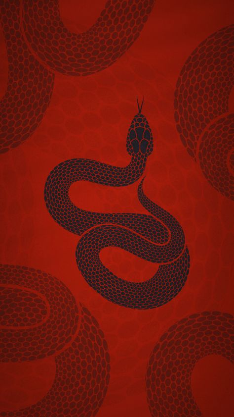 Snake Aesthetic Dark, Lunar New Year Snake, Red Snake Wallpaper, Red Snake Aesthetic, Snake Wallpaper Aesthetic, Snake Core, Snake Illustration Design, Snake Aesthetic, Cny 2025