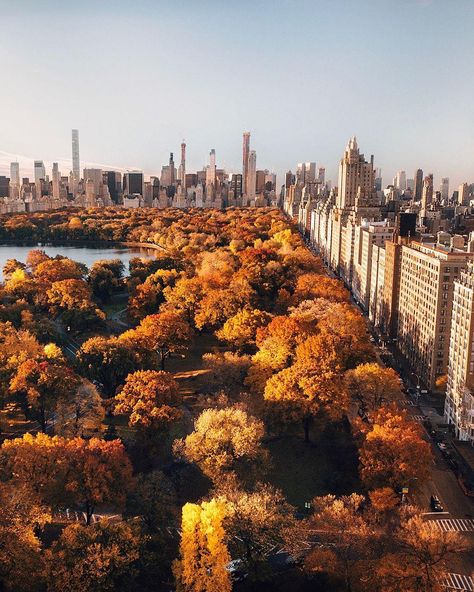 Central Park in fall is magical. Who is missing autumn? 🍁 — 📌 #NYC #newyork #unitedstates #usa — 📷 @joethommas — #voyaged #travel #adventure Fall In New York City, Fall Nyc, Nyc Fall, Fall Canvas, Autumn In New York, Fall Things, New York Photos, City Vibe, Dream City