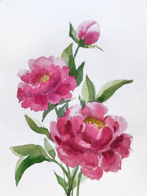 Peonie Watercolor Painting, Loose Floral Watercolor Painting, Watercolour Peonies, Peonies Drawing, Sketches Abstract, Rose Flowers Drawing, Peony Watercolor Painting, Watercolour Peony, Decoration Craft Ideas