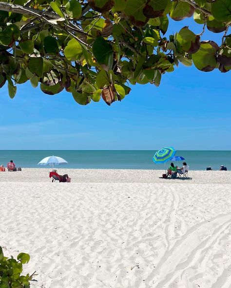 Naples, Florida 🌸🍦🧸🪻🪺☁️🍓 #naples #naplesflorida #floridalife #portroyalnaples #sunset #igtravel Florida Beach Aesthetic, Florida Spring Break, Florida Aesthetic, Naples Beach, Florida Food, Florida Life, Summer 16, Conscious Living, Places To Live