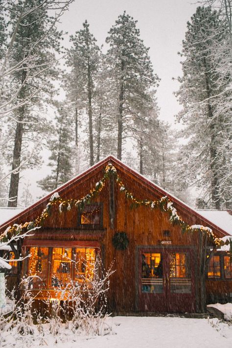 Leavenworth Washington is the COOLEST Bavarian style town. These are all the best, most unique Leavenworth Airbnbs & cabins for your vacation! My favorite is the... A Cabin In The Woods, Leavenworth Washington, Treehouse Cabins, Cabin Aesthetic, Cabin Christmas, Christmas Place, Winter Cabin, Cabin Living, Little Cabin