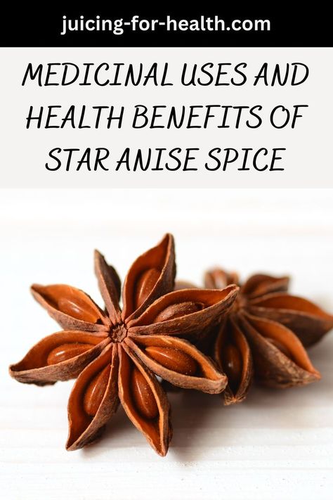 MEDICINAL USES AND HEALTH BENEFITS OF STAR ANISE SPICE Anise Tea Benefits, Star Anise Benefits, Star Anise Tea, Chinese Star, Anise Seed, Health Tea, Star Food, Herbal Healing, Juicing For Health