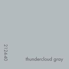 Benjamin Moore Thundercloud Gray- similar to dining room color Thundercloud Gray Benjamin Moore, Bm Storm Cloud Gray, Benjamin Moore Storm Cloud Gray, Benjamin Moore Thundercloud Gray, Benjamin Moore Gray Sky, Benjamin Moore Gray Owl Color Scheme, Thundercloud Gray, Kids Room Paint Colors, Benjamin Moore Bathroom