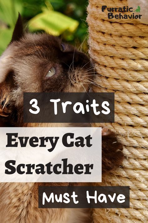 Make Cat Scratching Post, Diy Kitty Scratching Post, Diy Cat Scratching Post How To Make, Scratching Post For Cats Diy, Cat Scratchers Diy, How To Make A Cat Scratching Post, How To Make Cat Scratcher, Wood Cat Scratcher, How To Keep Cats From Scratching Furniture