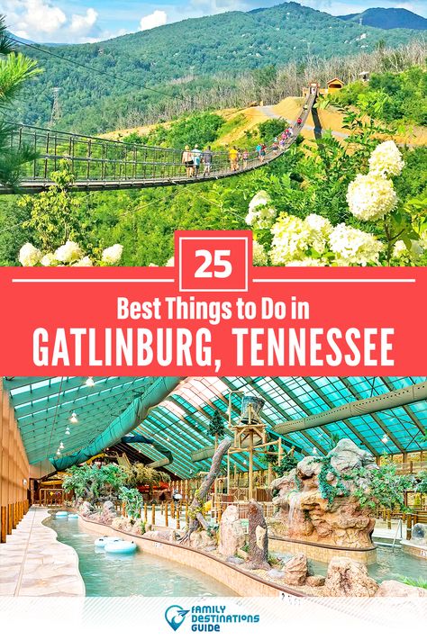 Want to see the most incredible things to do in Gatlinburg, TN? We’re FamilyDestinationsGuide, and we’re here to help: From unique activities to the coolest spots to check out, discover the BEST things to do in Gatlinburg, Tennessee - so you get memories that last a lifetime! #gatlinburg #gatlinburgthingstodo #gatlinburgactivities #gatlinburgplacestogo Tennessee Family Vacation, Things To Do In Gatlinburg, Gatlinburg Tennessee Vacation, Tennessee Road Trip, Smokey Mountains Vacation, Gatlinburg Vacation, Smoky Mountains Vacation, Tennessee Travel, Vacation Locations