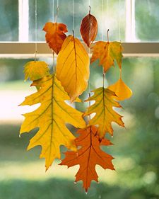 Hanging Leave- When dipped in wax, colorful leaves can be preserved through this season and beyond. We clustered a group to suspend in a window -- perfect for greeting visitors. Stands of monofilament keep them from falling a second time. Easy Fall Nail Designs, Modern Fall Decor Ideas, Fall Leaf Decor, Outdoor Fall Decor Ideas, Autumn Leaves Craft, Modern Fall Decor, Diy Leaves, Colors Of Fall, Modern Fall