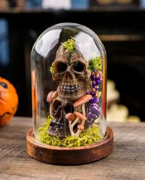 A Halloween cloche with moss, faux skulls, mushrooms and bold blooms is a cool and creative idea for decor Skull In Cloche, Mushroom Halloween Decor, Moss Skull, Skulls And Mushrooms, Halloween Terrarium, Apothecary Shelf, Halloween Cloche, Witch's House, Cloche Decor