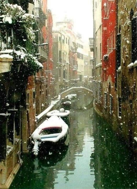 (20+) Facebook Winter Scenery Beautiful, Venice In January, Venice In Winter, Winter Honeymoon, Euro Winter, Winter In Europe, Italy Winter, Scenery Beautiful, Christmas In Italy