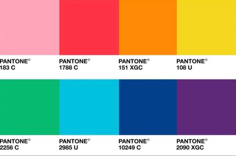 Pantone Colors Pallete, Procreate Pallete, Color Palette Neon, Mexican Color Palette, Neon Colour Palette, Mexican Colors, Pop Art Colors, Hex Color, Retro Color Palette