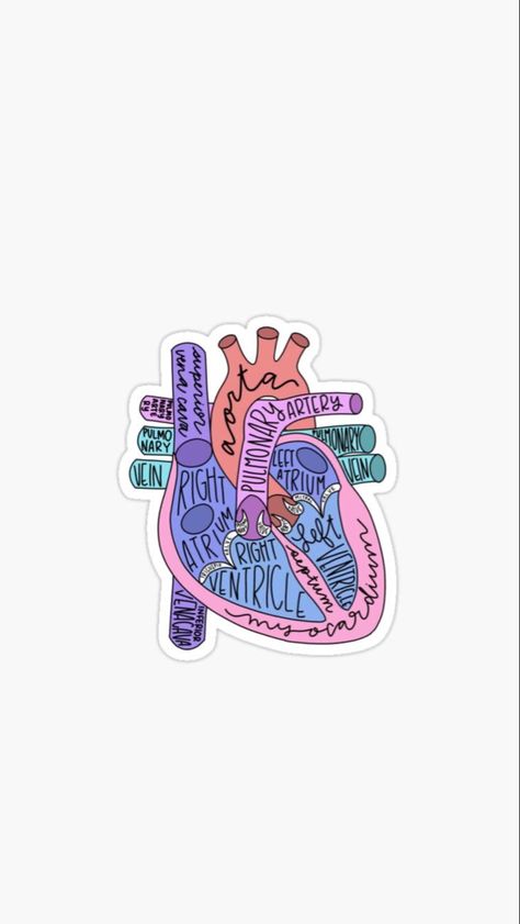 #wallpaper #wallpaperforyourphone #wallpaperforiphone #greysanatomy #anatomiadegrey #iphone #iphonewallpapers #iphonebackgrounds Heart Anatomy Wallpaper, Anatomy Wallpaper Iphone, Anatomy Wallpaper Aesthetic, Greys Anatomy Wallpaper, Grey's Anatomy Wallpaper Iphone, Anatomy Aesthetic, Medical Wallpaper, Heart Anatomy, Stickers Shop