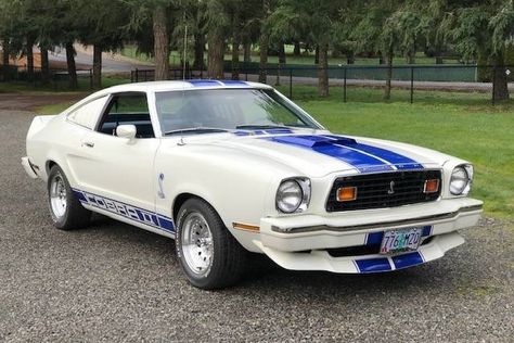 The Cobra II was an option on the revitalized Ford Mustang II in 1976-78. This first year example has been used but not abused. Worth a look? #CobraII, #Ford, #Mustang 1976 Ford Mustang, Aesthetic Cars Wallpaper, Mustang Hatchback, Best Sports Cars, New Car Quotes, Car Interior Diy, Aesthetic Cars, Cars Aesthetic, Ford Mustang Cobra