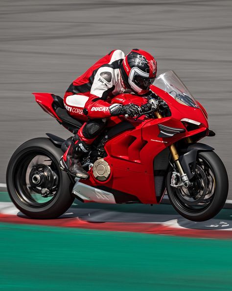 Ducati V4s, Ducati Panigale V4r, Ducati Motorbike, New Ducati, Ducati Panigale V4, Panigale V4, Custom Street Bikes, Bike Leathers, Crotch Rocket