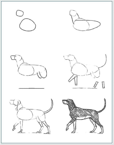 50+ Tutorials: How to Draw a Dog Easy 1 Wolf Drawing Easy, Veterinary Anatomy, Dog Drawing Tutorial, Draw A Dog, Anime Drawing Sketches, Human Figure Sketches, Baby Animal Drawings, Animal Illustration Art, Puppy Art