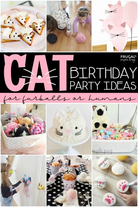 Don't be a furball! Throw a Purr-fectly planned Cat Birthday Party. Cattastic kitty party ideas for pets and their tiny humans.  Make a cat birthday hat, bake a cool cat cake, download a free cat printable, and find all the cat party decor you could need for your (fur or furless) loved one. #FrugalCouponLiving #catthemedbirtdhayparty #catbirthdayparty #catparty #kidsbirthdaypartyideas #catbirthdaypartyideas Cat Decorations Birthday, Troll Birthday Party Ideas, Cat Birthday Cakes, Kitty Cat Birthday Cake, Cat Cakes Birthday, Cat Birthday Party Ideas, Cat Birthday Cake, Kitten Birthday Party, Cat Themed Parties