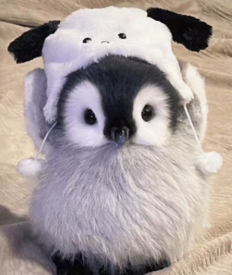 Goofy Animal Pfp, Cute Pingu, Penguin Pfp, Cute Plushies, Kawaii Penguin, Penguin Baby, Cute Small Animals, Cute Animals Puppies