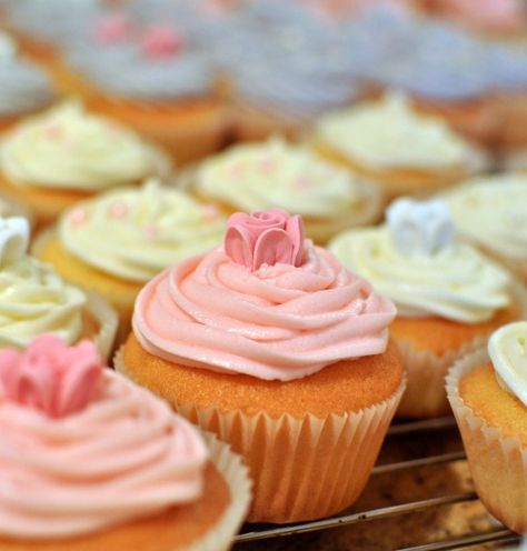 Baking wedding cupcakes by the 100 Bulk Cupcake Recipe, Wedding Cupcake Recipes Best, Basic Cupcake Flavors, White Wedding Cupcake Recipe, Vanilla Cupcakes With Oil, Making A Wedding Cake, Vanilla Cupcake Recipe With Oil, 100 Cupcakes, Moist Cupcake Recipes