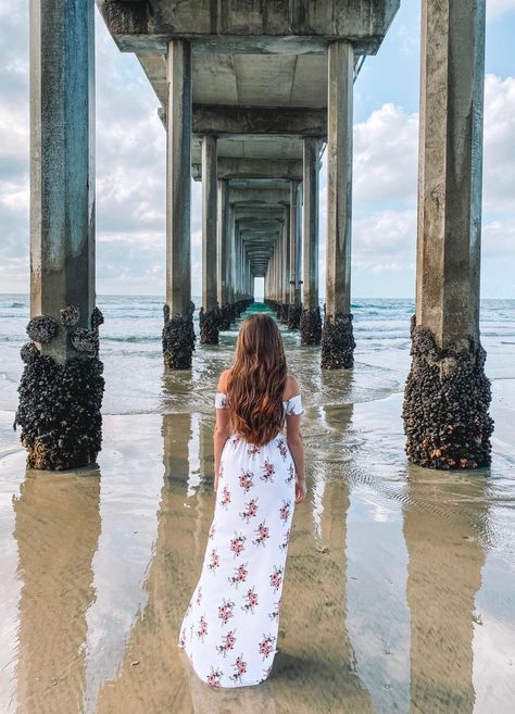 The Most Popular Instagram Spots in San Diego, CA - She Strayed Coronado San Diego, San Diego Travel Guide, Birch Aquarium, Los Angeles Map, La Jolla San Diego, Hotel Del Coronado, San Diego Travel, Mission Beach, Popular Instagram