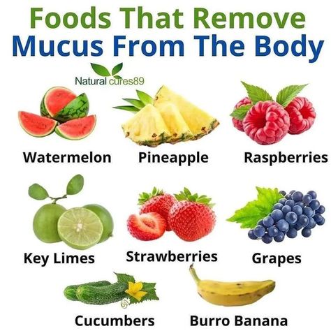 Smoothie Elysia 🍓 on Instagram: "Seamoss helps soothe the mucus membranes in the body and helps your get rid of excess mucus. Sometimes, bacteria or allergens can cause too much mucus to form, during Dr Sebys research and studies he discovered that disease came from an over production of mucus which is why he recommended an alkaline diet and detox in order to reverse diseases. . 👉To Order, Click the link in my bio @smoothie_elysia . . . . . . . #seamoss #mucus #naturopathic #diyremedies #holis Benefits Of Smoothies, Get Rid Of Mucus, Tips For Good Health, Getting Rid Of Mucus, Breakfast And Coffee, Smoothie Challenge, Avocado Smoothie, Yummy Smoothies, Unhealthy Food