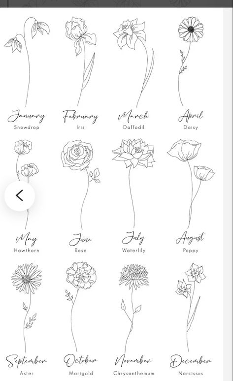 Tattoo Ideas March Flower, Outline Of Flowers Tattoo, Fine Line Small Flower Tattoo, Fine Line Mum Tattoo, August Symbols Birth Month Tattoo Ideas, Morse Code Flower Tattoo, Fineline Birth Flower, Minimalist Birth Flower Tattoo, Fine Line Birth Flowers