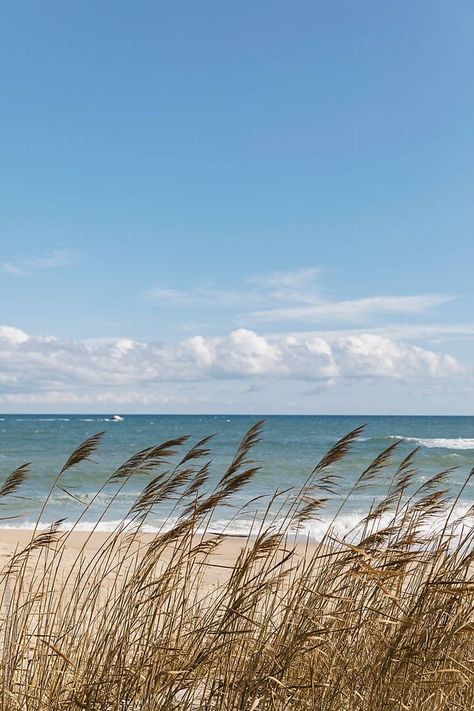 Wave Crashing, Frühling Wallpaper, Beach Grass, Best Cameras, Cape Cod Massachusetts, Image Nature, Seaside Town, Ocean Wallpaper, Beach Time