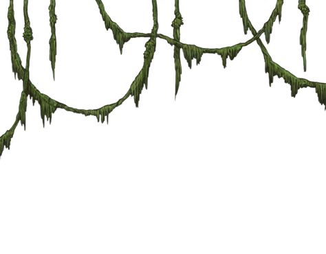 640x500 Graphics For Jungle Vine Graphics Vines Png, Jungle Vines, Jungle Drawing, Vine Drawing, Vines Leaves, Jungle Tree, Jungle Flowers, Jungle Art, Wreath Drawing