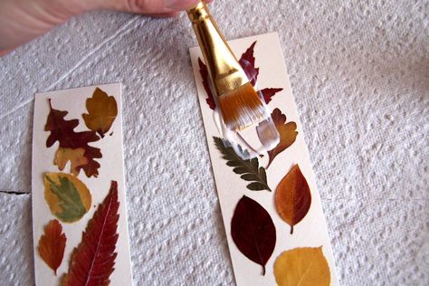 Pressed Leaf Bookmarks, Maple Leaf Diy, Leaf Pressing, Leaf Crafts Kids, Kids Nature Activities, Harris House, Flower Bookmarks, Autumn Leaves Craft, Leaf Bookmark