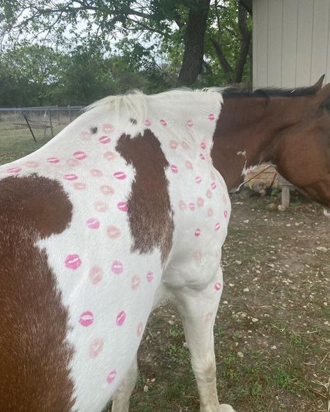 Moth Aesthetic, Buckle Bunny, Cowgirl Aesthetic, Vintage Americana, Cow Girl, White Horse, Horse Girl, Horse Riding, Country Girls