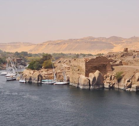 Elephantine Island is known as Yebu (meaning “elephant”) during the Old Kingdom, Elephantine Island is the oldest inhabited part of Aswan. Elephantine Island, Papaya Tree, King Of Persia, Old Kingdom, Cyrus The Great, Step Pyramid, Amenhotep Iii, Hellenistic Period, Nile River