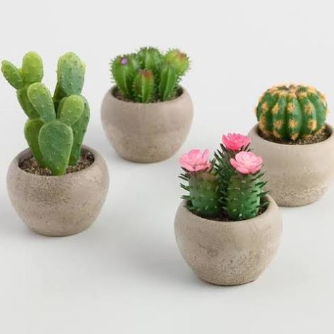 Fimo, Fake Cactus, Kaktus Dan Sukulen, Artificial Cactus, Plant Care Guide, Faux Cactus, Pots Set, Plant Care Tips, Making Plant Pots