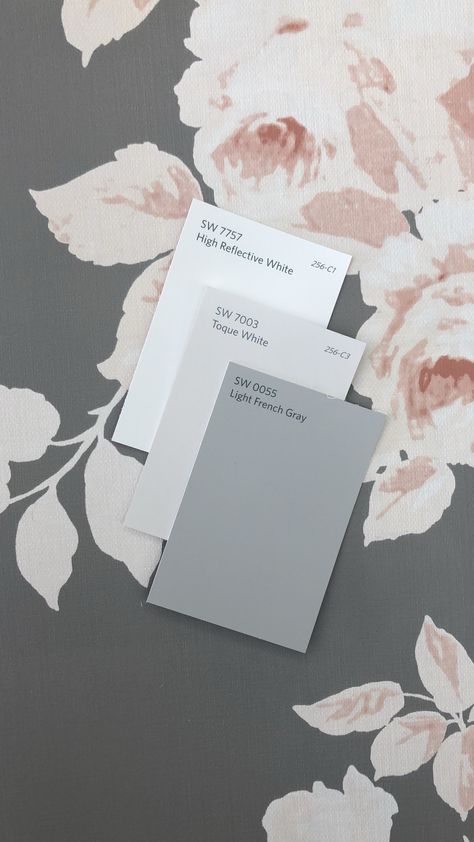 Sw Light French Gray Coordinating Colors, Sw Light French Gray Cabinets, Light French Gray Coordinating Colors, Toque White, Light French Gray, Exterior French Doors, French Gray, French Doors Exterior, Painting Countertops