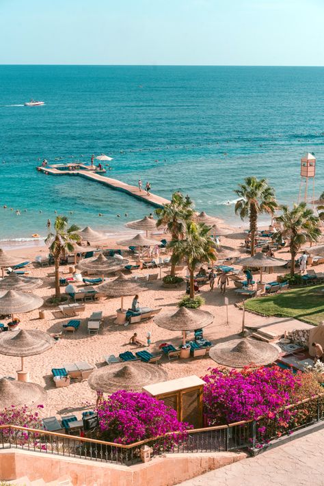 12 Best Things to Do in Sharm El Sheikh, Egypt Beach Holiday Destinations, Sharm El Sheikh Egypt, Egypt Resorts, Egypt Aesthetic, Best Scuba Diving, The Red Sea, Visit Egypt, Sharm El Sheikh, Beautiful Mosques