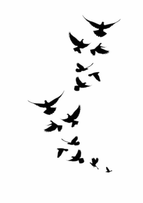 Tattoo Birds Flying, Flock Of Birds Tattoo, Birds Flying Tattoo, Tattoos Birds, Tattoo Design Stencil, Black Crow Tattoos, Crow Tattoos, Bird Silhouette Tattoos, Tattoo Birds