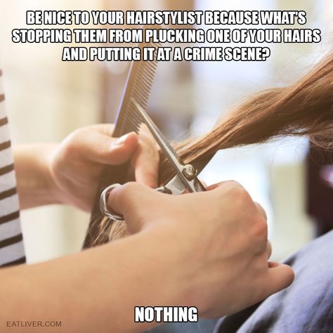 Be nice to your hairstylist because what's stopping them from plucking one of your hairs and putting it at a crime scene? Nothing. Hairstylist Memes, Crazy Eyebrows, Hairdresser Humor, Hair Quotes Funny, Hair Meme, Hairstylist Humor, Hairstylist Quotes, Salon Quotes, Hair Quotes