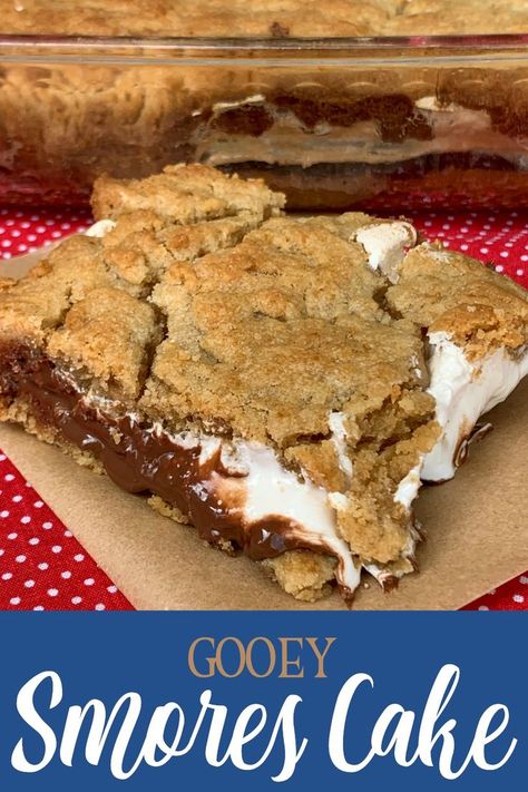 Cracker Cake, Graham Cracker Cake, Easy Birthday Cake, Easy Smores, Smores Dessert, Smore Recipes, Smores Cake, Hershey's Chocolate, Easy Birthday