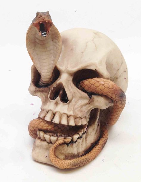 Snake Habitat, Gothic Graveyard, Skull Reference, Skull Statue, Cobra Snake, Rainbow Cat, Statue Sculpture, Cthulhu, Kraken