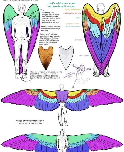 Drawing Reference Wings, Male With Wings, 2 People Poses Drawing Reference, 2 People Poses, Drawing Poses Reference, Drawing Poses Male, Poses Drawing Reference, Poses Male, Doflamingo Wallpaper