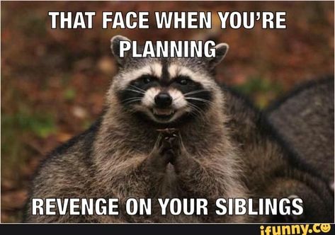 THAT FACE WHEN YOU’RE 1; REVENGE ON YOUR SÉLING- – popular memes on the site iFunny.co #revengekarma #memes #that #face #when #youre #revenge #on #your #sling #meme Saturday Memes, Funny Memes, Memes, Funny