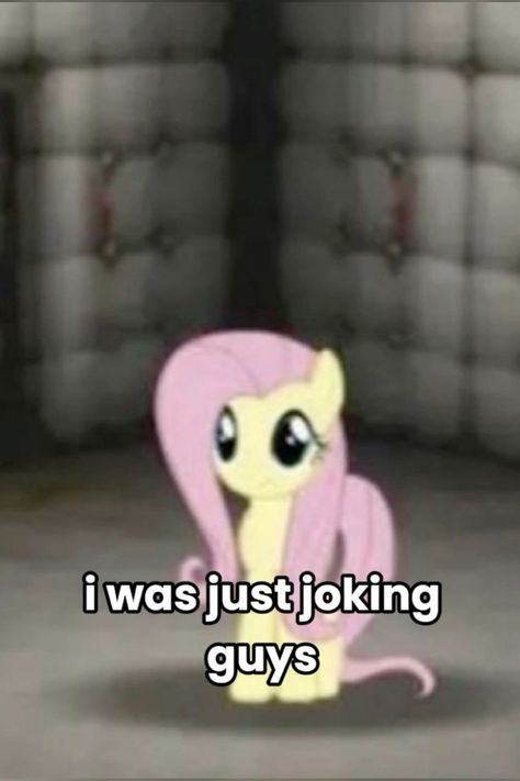 Mlp Reaction Pics, Proflies Pictures, Pony Videos, Don Pollo, Desenho Tom E Jerry, Mlp Funny, Mlp Memes, Attitude Problem, Pony Pictures