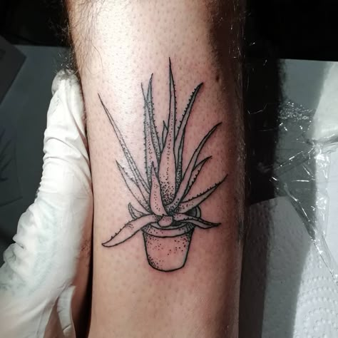 Aloe Tattoo, Aloe Vera Tattoo, Mother And Son Tattoo, Son Tattoo, Tattoo Practice, Tattoo For Son, Plant Tattoo, Healing Tattoo, Aloe Vera Plant