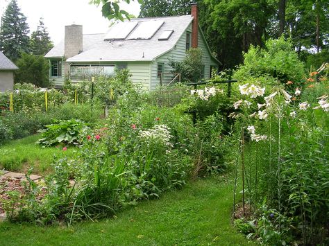 Great website for organic gardening information using bio-intensive practices Intensive Gardening, Homestead Inspiration, Biointensive Gardening, Granny House, Organic Fruits And Vegetables, Organic Foods, Home Vegetable Garden, Organic Gardening Tips, Organic Produce