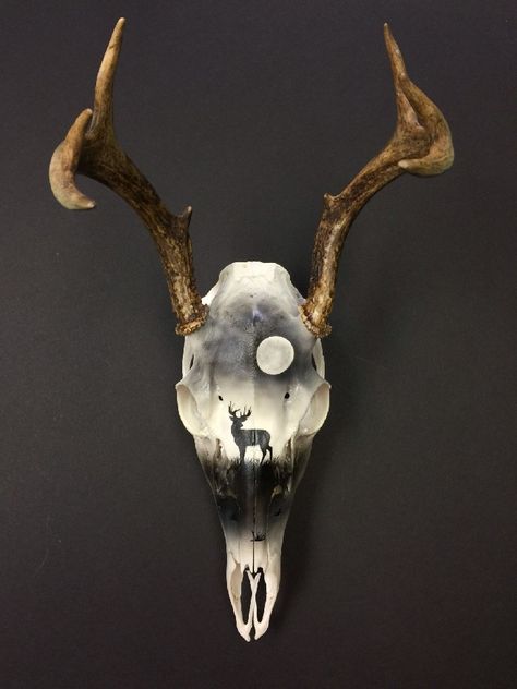 Deer Skull Ideas, Deer Skull Painting, Skulls Painting, Antler Decorations, Painted Deer Skull, Town Tattoo, Deer Skull Decor, Antler Mounts, European Mounts