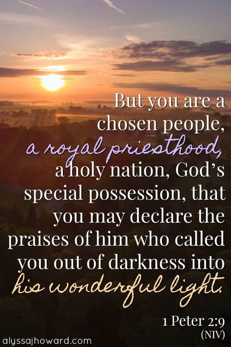 But you are a chosen people, a royal priesthood, a holy nation, God's special possession, that you may declare the praises of him who called you out of darkness into his wonderful light. - 1 Peter 2:9 Business Mom, Royal Priesthood, The Presence Of God, Presence Of God, Babylon The Great, John 10 10, I Need Jesus, Bible Time, Pinterest Group