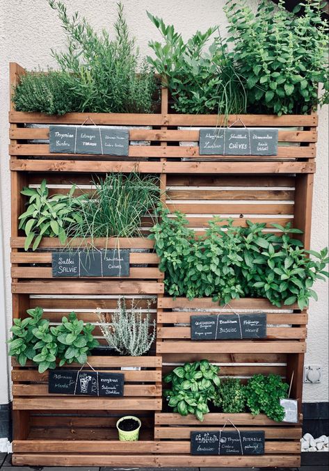 Herbs Balcony Ideas, Herb Garden Wall Outdoor, Herb Garden Wall, Spice Garden, Herb Wall, Herbs Garden, Vertical Herb Garden, Magic Herbs, Outdoor Inspirations