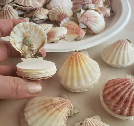 Shell book, seashells Stuff To Do With Seashells, Seashell Book, Shell Cleaning, Cleaning Sea Shells, Shell Book, Tiny Watercolor, Beach Crafts Diy, Shells Diy, Shell Crafts Diy