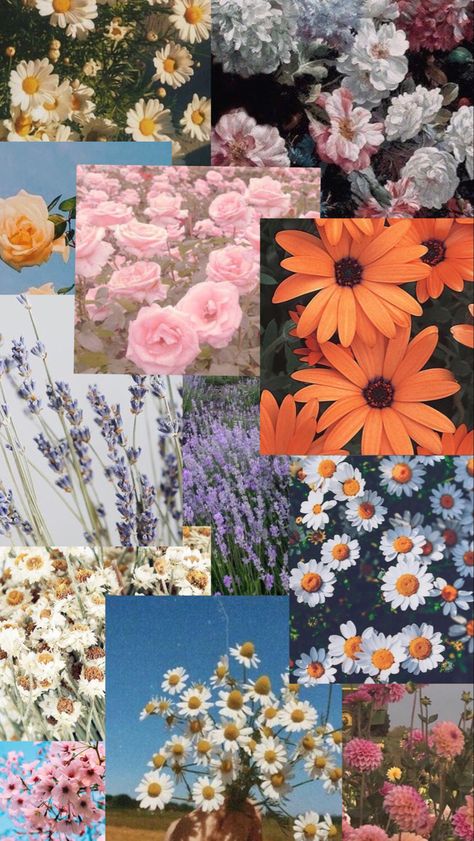 aesthetic flower collage wallpaper Flower Wallpaper Collage, Wall Collage Flowers, Plant Collage Wallpaper, Nature Collage Aesthetic, Flowers Collage Aesthetic, Flower Collage Aesthetic, Nature Collage Wallpaper, Spring Collage Wallpaper, Spring Aesthetic Collage