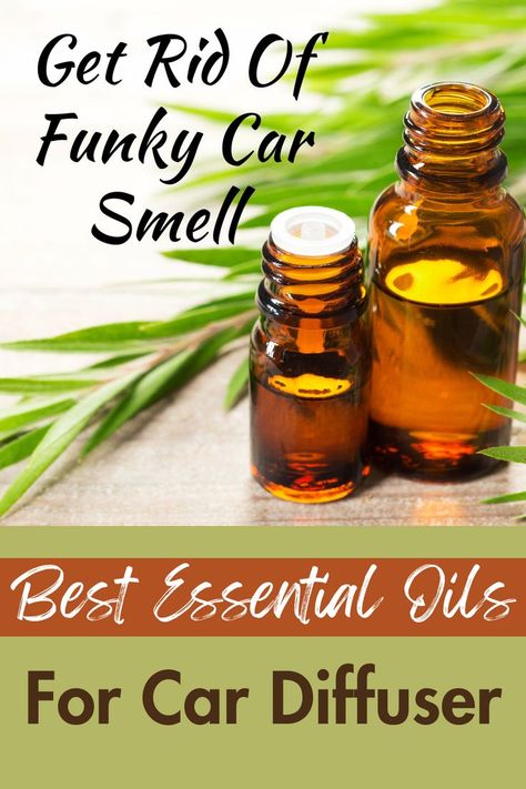 best essential oil for car diffuser Essential Oils For Car, Car Diffuser Blends, Air Freshener Recipes, Essential Oils For Congestion, Essential Oils For Cough, Air Freshener Essential Oils, Car Diffuser Essential Oils, Essential Oils For Headaches, Essential Oils For Sleep