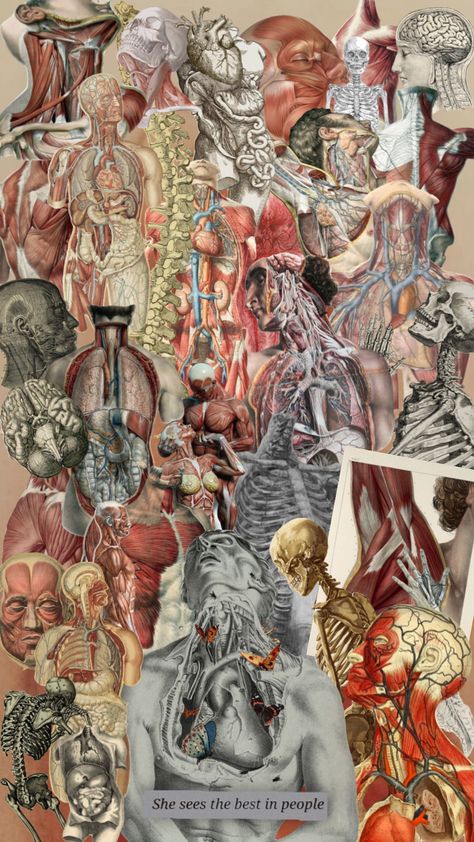 Inner beauty #humananatomy #human #anatomy #wallpaper Human Anatomy Art Wallpaper, Anatomy And Physiology Wallpaper, Physiology Wallpaper, Human Anatomy Wallpaper, Humanity Wallpaper, Human Body Wallpaper, Medicine Art Anatomy, Anatomy Wallpaper Desktop, Human Anatomy Art Artworks